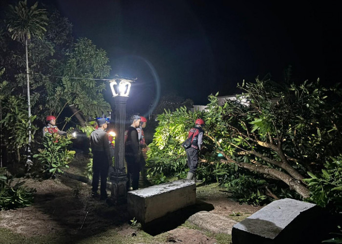 Sigap Evakuasi Pohon Tumbang, Pamapta 1 Polres Lampung Utara Hadir di Bunga Mayang