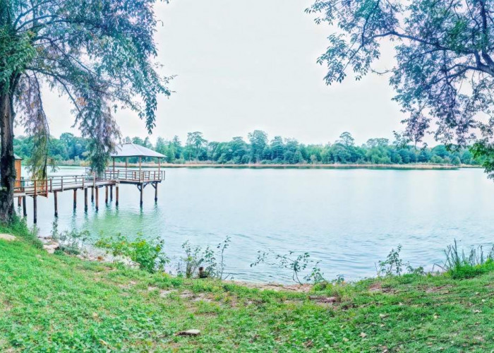 Danau Bekri, Ruang Sunyi di Lampung Tengah yang Menyimpan Pesona Alami