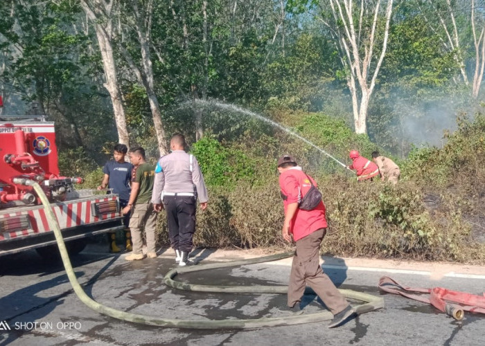 BREAKING NEWS! Lahan Kebun Karet PTPN 7 Trikora Terbakar