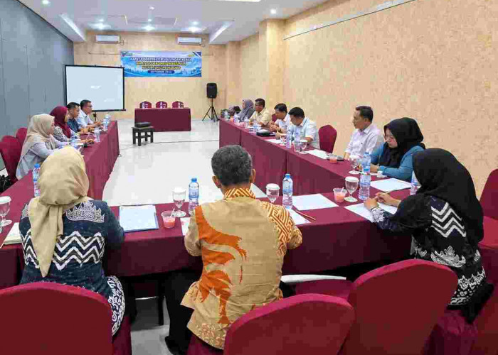 Pemkab Tanggamus Perkuat Sinergi dengan PLN untuk Optimalisasi Penerimaan PBJT