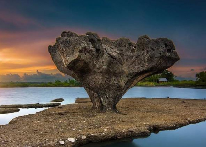 Pesona Tersembunyi Jeneponto: Surga Wisata Alam yang Belum Banyak Tersentuh
