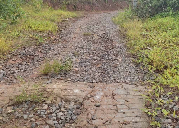 PPK Lupa Item Pekerjaan Proyek Pembukaan Badan Jalan Pekon Bambang-Batu Bulan