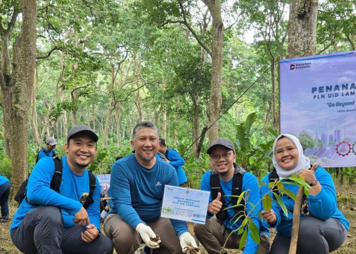 Hari Lingkungan Hidup Sedunia, PLN UID Lampung Tanam Pohon dan Perkuat Komitmen Pelestarian Lingkungan