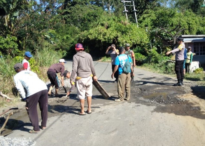 Bosan Keluhkan Jalan Rusak, Warga Sukau Perbaiki Ruas Jalan Liwa-Ranau Secara Swadaya 