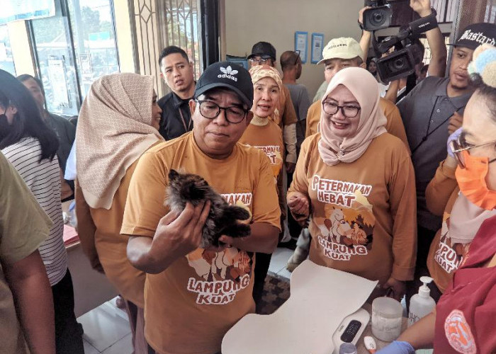 Pj Gubernur Samsudin Dorong Pembangunan Sektor Peternakan dan Pengendalian Rabies di Lampung 