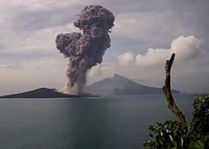 Gunung Anak Krakatau Kembali Erupsi