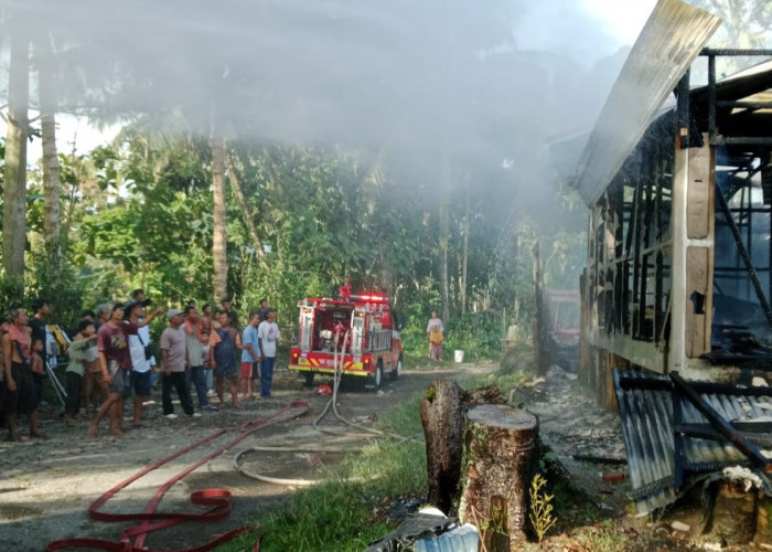Jitupasna Segera Tinjau Lokasi Kebakaran di Way Krui, Korban Akan Didata
