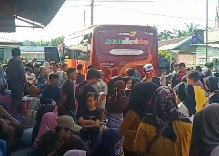 Pemudik Arus Balik di Pesisir Barat Padati Loket Bus AKAP Krui-Jakarta