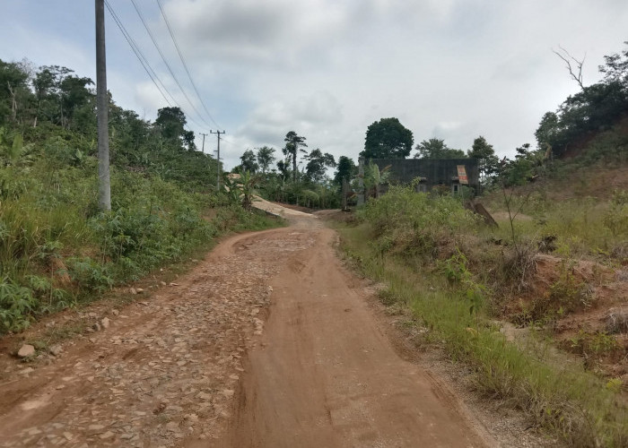 Para Tokmas Berharap Jalan Poros Pekon Sukadamai dan Sukajadi Digempur Pembangunan 