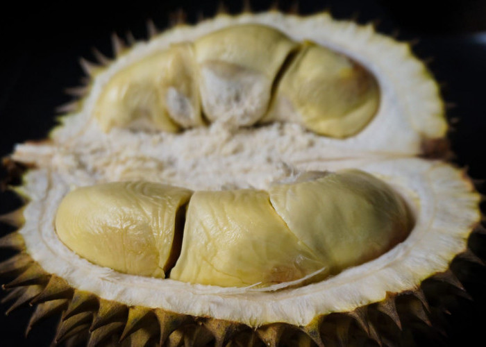 Makan Durian, Apa Saja Manfaat dan Risikonya?