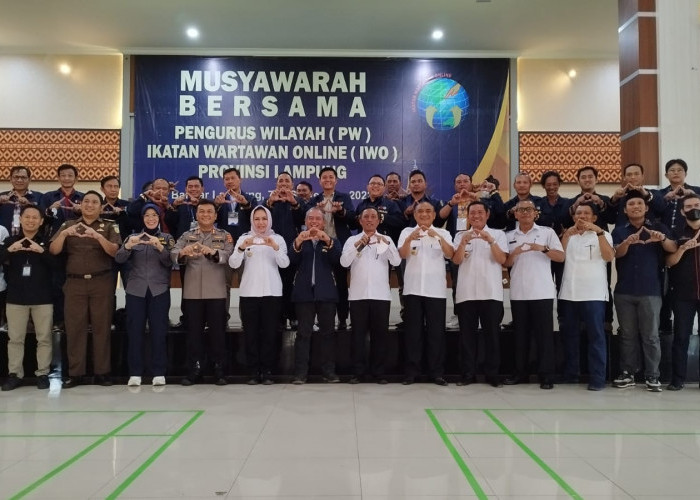 Enam Kepala Daerah Terima Penghargaan dari PW IWO Lampung