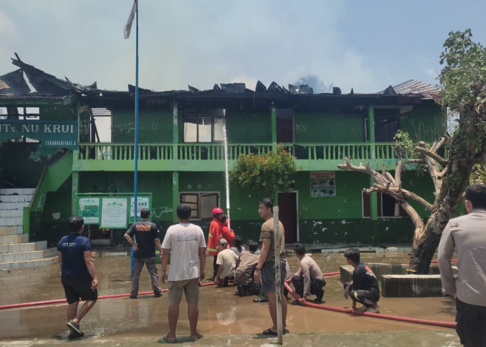 Dua Gedung MTS NU Krui Ludes Terbakar, Petugas Damkar Masih Berjibaku Padamkan Api