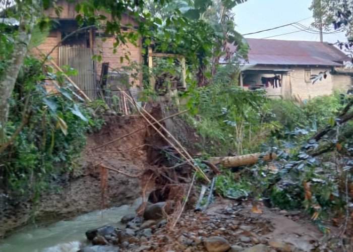 BPBD Lambar akan Tinjau Dampak Erosi Sungai di Tembelang