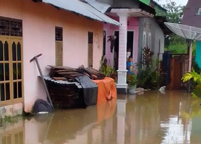 Rumah Warga di Kelurahan Pasar Kota Krui Terendam Banjir