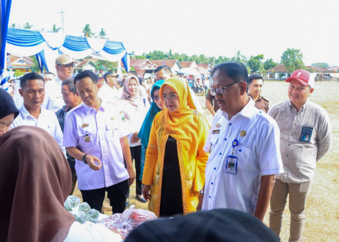 Upaya Tekan Inflasi, Gerakan Pangan Murah Kembali Digelar di Pesisir Barat