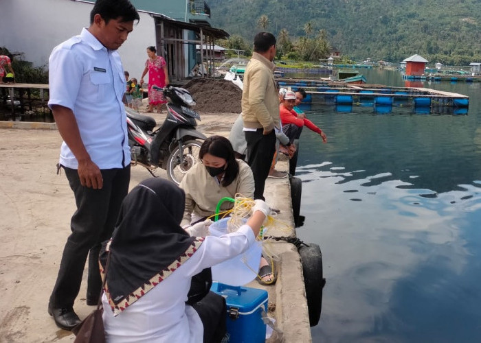 Diduga Ini Penyebab Kematian Massal Ikan di Danau Ranau