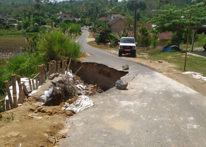 Tim Diturunkan Tinjau Longsor di Pampangan, DPUPR Lampung Barat Upayakan Penanganan Segera