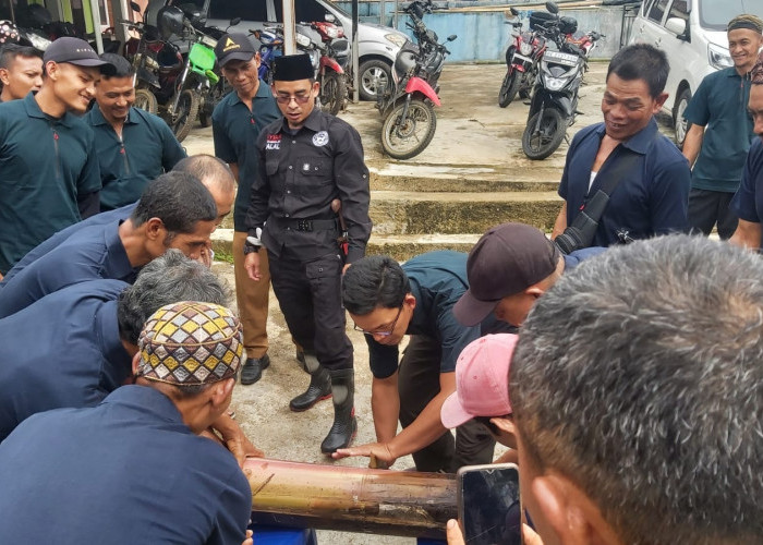 Disbunnak Lampung Barat Gelar Pelatihan Juru Sembelih Hewan Kurban