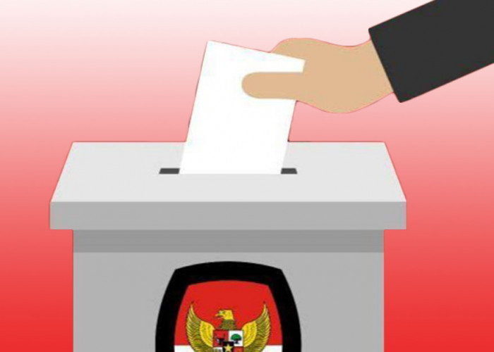 Partisipasi Pemilih Pemilu 2024 di Pesisir Barat Capai 81,74 Persen