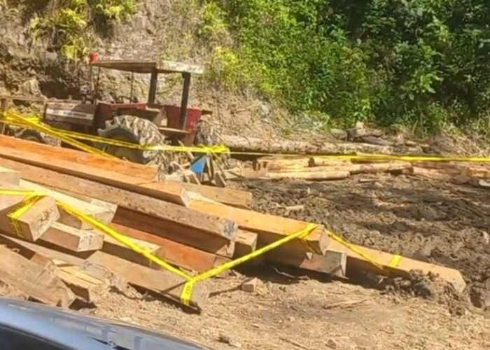 Polda Lampung Segel Lokasi Pembalakan Liar di Pesisir Barat