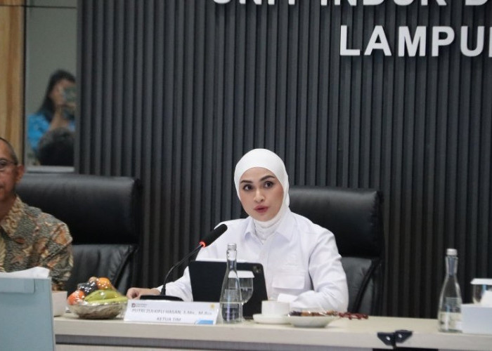 Komisi XII DPR RI Apresiasi Keandalan Listrik PLN di Lampung, Daya Mampu Capai 1.836,9 MW