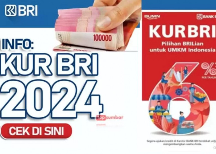 KUR BRI Tawarkan Pinjaman Modal Tanpa Membebani UMKM