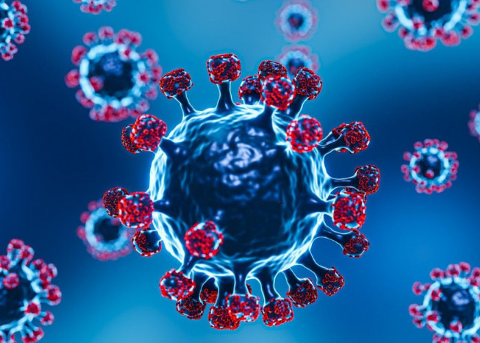 Proses Replikasi Virus dan Dampaknya terhadap Tubuh Manusia