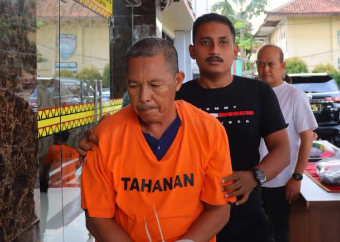 Kakek Penjual Mainan Anak di Bandar Lampung Ditangkap, Usai Cabuli 7 Anak SD