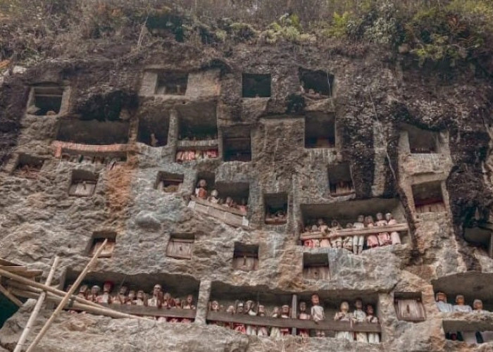 Makam Tebing Lemo: Warisan Leluhur Suku Toraja yang Sakral