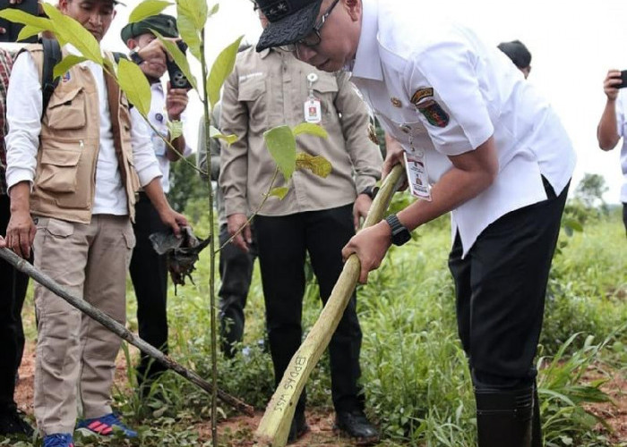 Libatkan 863 PPPK Paruh Waktu, Gubernur Lampung Pimpin Penanaman Pohon Serentak