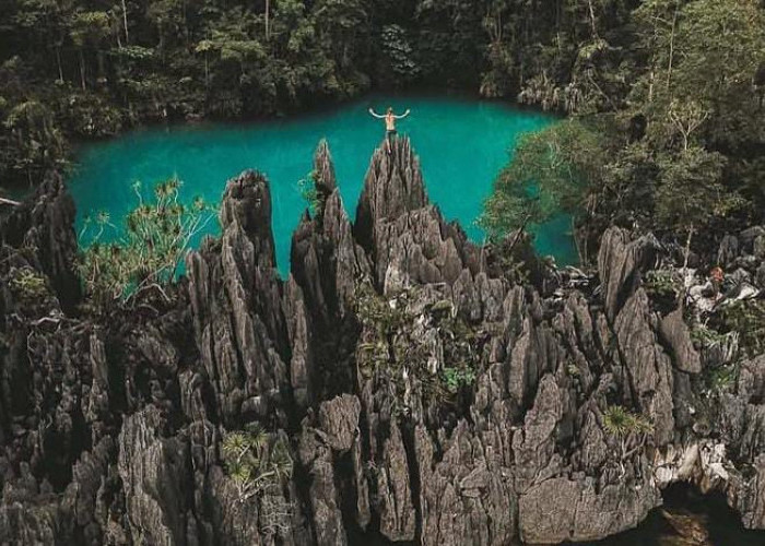 Pulau Labengki, Surga Tersembunyi Sulawesi Tenggara