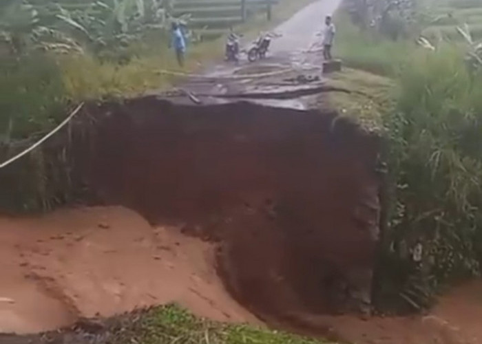 Hujan Deras Picu Jalan Putus di Way Tenong, Akses Warga Lumpuh
