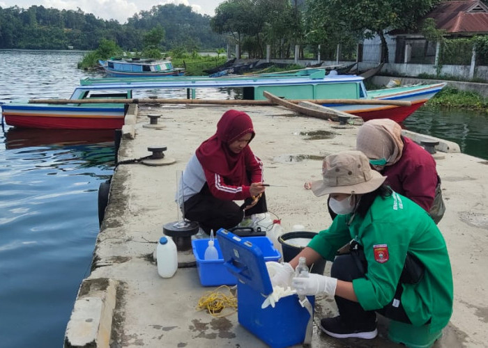 Uji Sampel Air, DLH Jelaskan Penyebab Keruhnya Air Danau Ranau di Lumbok Seminung 