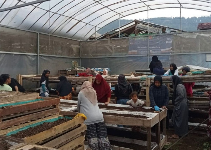 Dari Limbah ke Berkah: Kisah Perempuan Bandung Barat Bangun Usaha Lewat Sinergi Ultra Mikro BRI