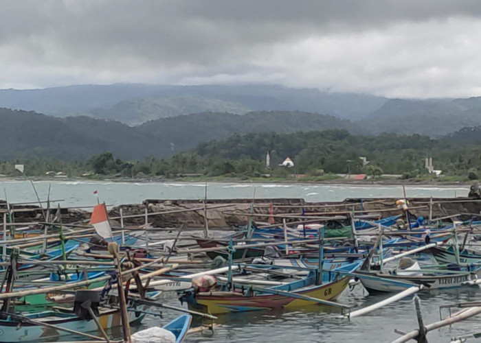 Produksi Perikanan Tangkap Pesisir Barat Tembus 2.030 Ton 