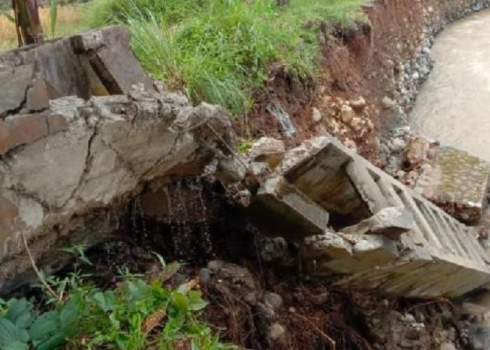 Masyarakat Gedau, Kabupaten Pesisir Barat Berharap Ada Perbaikan Jaringan Irigasi