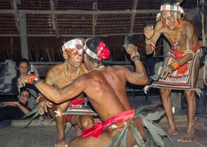 Tari Turuk Langgai: Kearifan Alam dan Spiritualitas Suku Mentawai