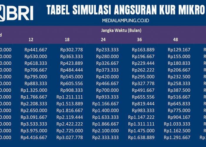 KUR BRI 2025: Solusi Pembiayaan Usaha dengan Cicilan Ringan Mulai Rp600 Ribuan