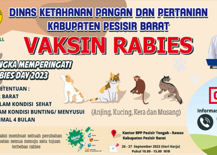 Peringati Bulan Bakti Rabies DKPP Pesisir Barat Siapkan 150 Vaksin Rabies Gratis