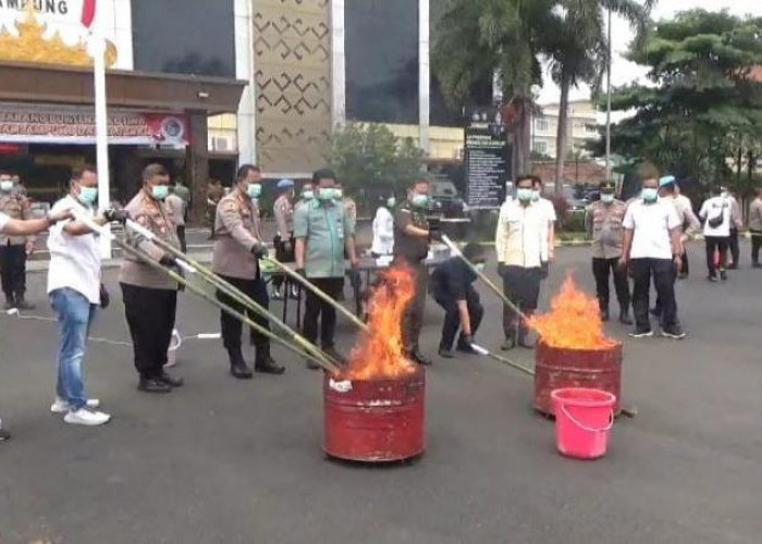 Polresta Bandar Lampung Musnahkan Barang Bukti Narkoba Senilai Rp 672 Juta dari 13 Tersangka