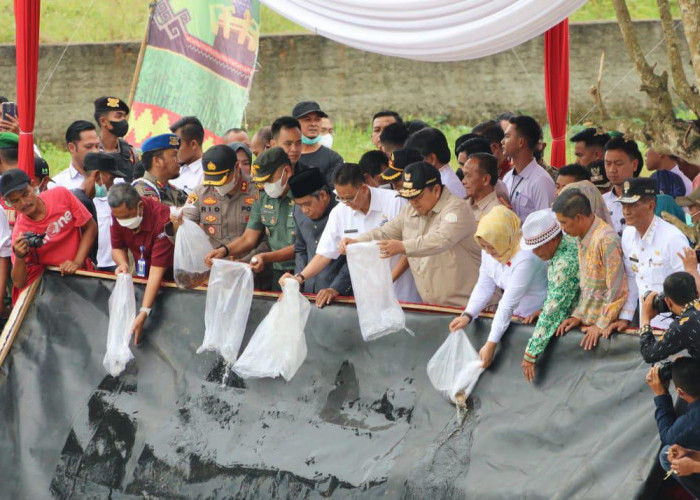 Lestarikan Ikan Endemik Lokal, Gubernur Lakukan Penebaran 300 Ribu Benih Baung di Pringsewu 