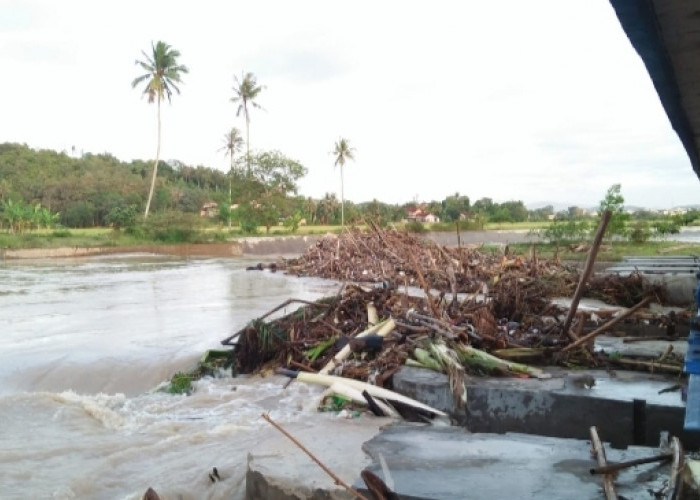 70 Rumah di Sidoharjo Pringsewu Terendam Luapan Sungai Way Bulok   