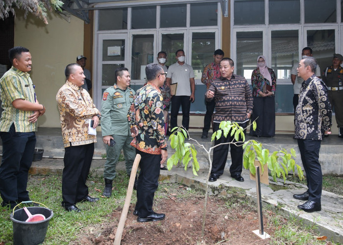 Berhasil Lakukan Pembinaan ke Penyuluh Kehutanan, Arinal Terima Penghargaan dari KLHK 