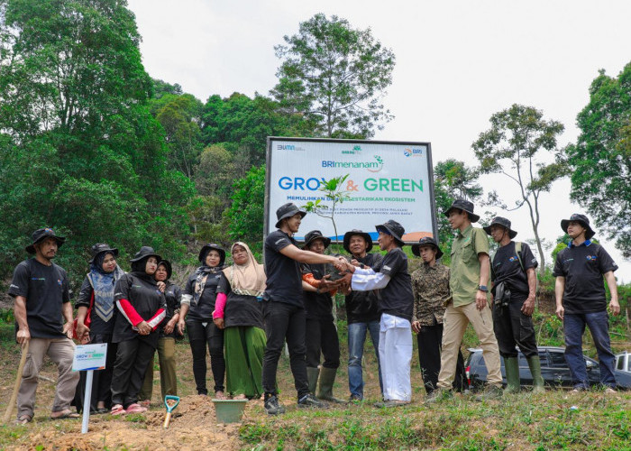 Program BRI Dukung Rehabilitasi Hutan Bekas Tambang Liar di Bogor