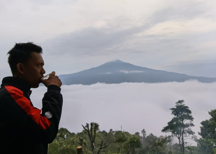 Punya Pemandangan Eksotis, Pokdarwis Pekon Muarajaya II Bangkitkan Wisata Puncak Asahan