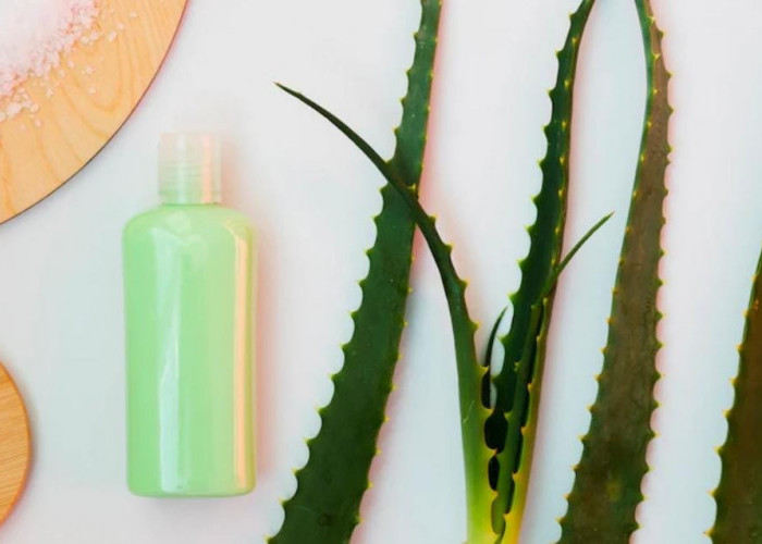 Cara Membuat Sabun Wajah Lidah Buaya untuk Bisnis Skincare Alami
