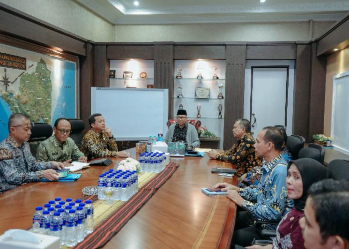 Pemprov Lampung Dorong Pringsewu Jadi Sentra Mocaf, Perkuat Ekonomi dan Ketahanan Pangan