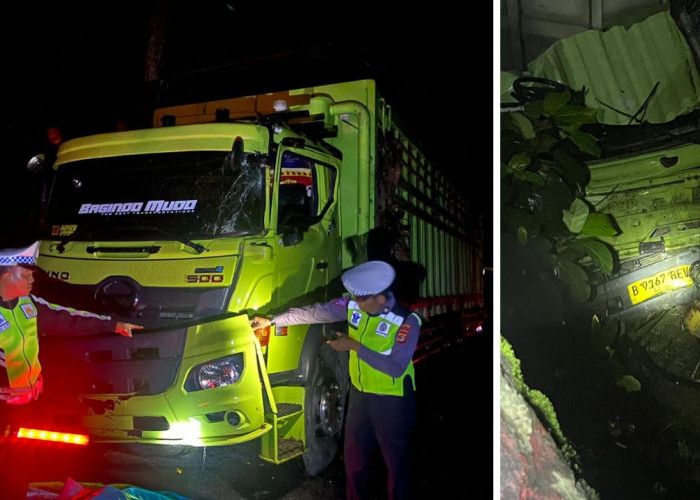 Dua Truk Tronton Tabrakan di Jalinbar TNBBS, Satu Sopir Luka Berat