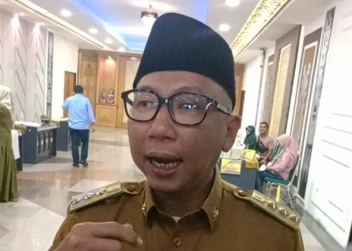 Soal Dugaan Illegal Logging di Pesisir Barat, Ini Kata Gubernur Mirza