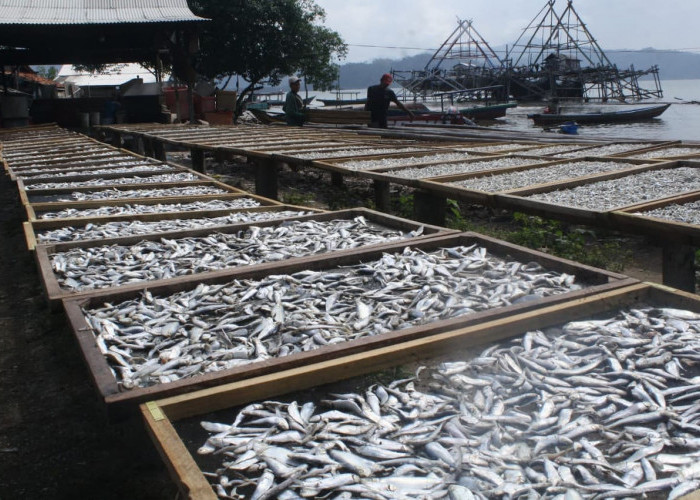 Ikan Asin: Sumber Penghasilan Utama Desa Durian